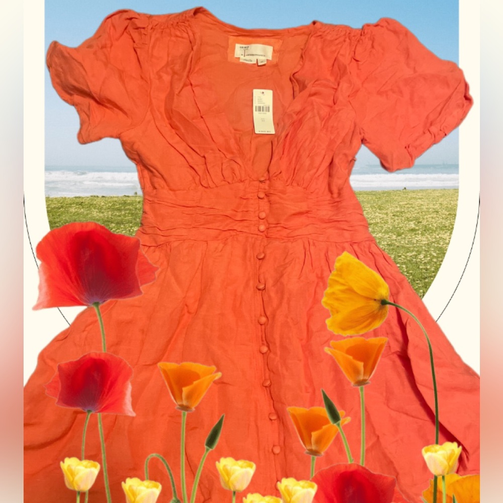 Anthropologie dress
